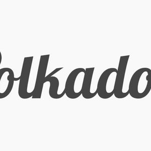 What is Polkadot Coin?