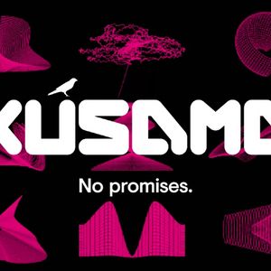 What is Kusama Coin?
