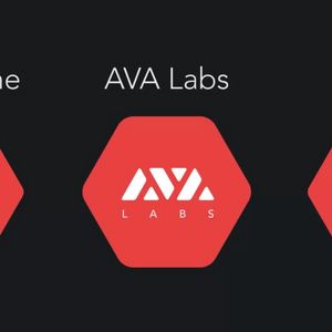 What is Avalanche Coin?