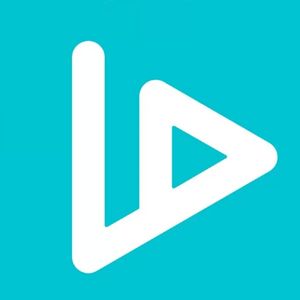 What is VIDT Datalink?