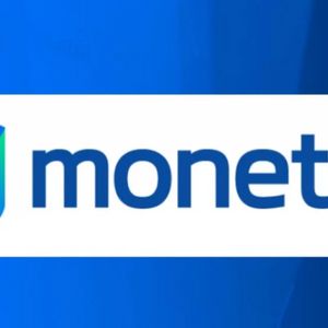 What is Monetha Coin?