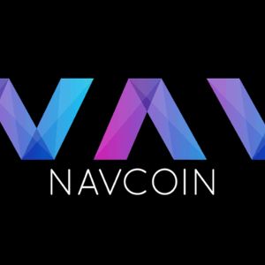 What is Nav Coin?