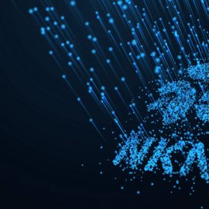 What is NKN Coin?