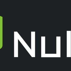 What is NULS Coin?