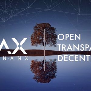 What is OAX Coin?