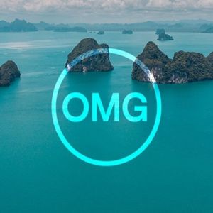 What is OMG Network?