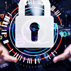 Rug Pull Incidents Shake Bitcoin and Altcoin World