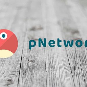 What is pNetwork Coin?