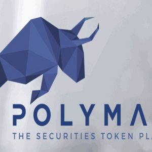 What is Polymath Coin?