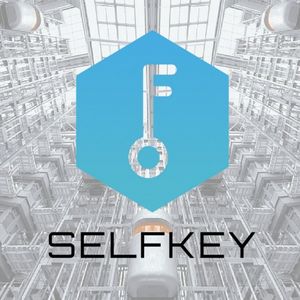 What is Selfkey Coin?