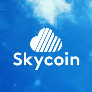 What is Skycoin?
