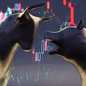 Exploring ROSE Coin’s Surge Amidst Crypto Market Volatility