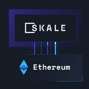 What is SKALE Network Coin?
