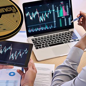 Exploring the Potential Surge of Select Altcoins Amidst the Crypto Rally