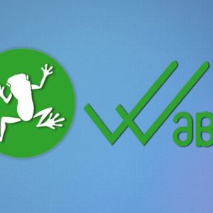 What is WABI Coin?