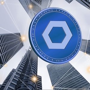Chainlink’s Impressive Performance: Whales Accumulate LINK