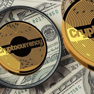 Why are Cryptocurrencies Rising?