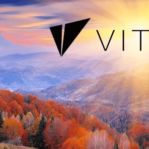 What is VITE Coin?