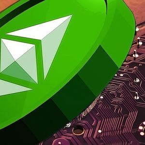 Insight into the Big Players of the Crypto World