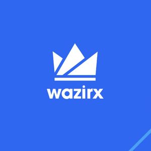 What is WazirX Coin?