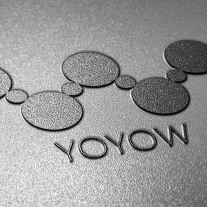 What is YOYOW Coin?