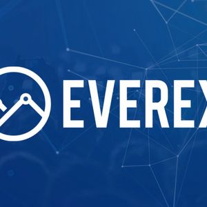 What is Everex Coin?