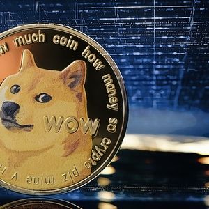 Contradictory Signals in Dogecoin’s Dynamics Amidst Price Fluctuations