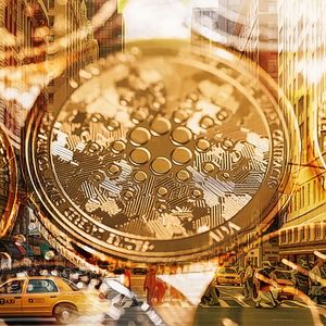The Hidden Catalyst Behind Cardano’s Astonishing Rise Unveiled