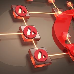 The Impact of Token Unlocks on Crypto Markets