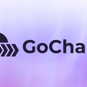 What is GoChain Coin?