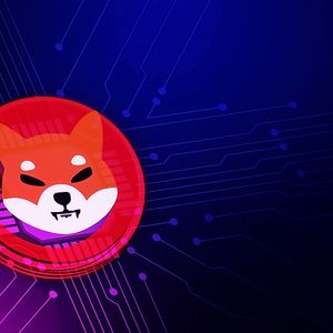 Shiba Inu Token Burn Rate Surges by 1,677%