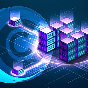 Insights from a Study on Financial Advice in the World of Bitcoin and Cryptocurrencies