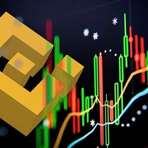 Binance’s Proof of Reserves: A Sign of Stability for Investors