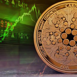 Pushd (PUSHD) Presale Gains Huge Traction While Solana (SOL) and Cardano (ADA) Rise