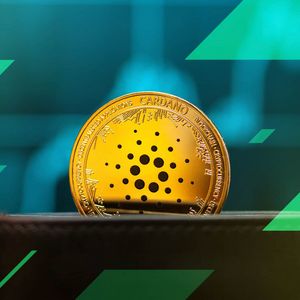 Why Investors From Cardano (ADA) and Internet Computer (ICP) are Rushing to Buy Into the Pushd (PUSHD) Presale