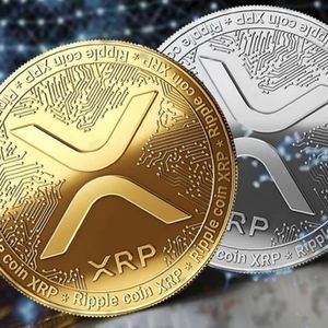 Why Investors of Toncoin (TON) and Ripple (XRP) are Buying Into Stage Four of Pushd (PUSHD) Presale