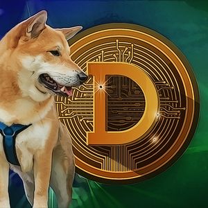 A Potential Look at Dogecoin