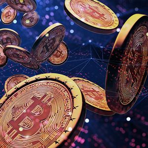 Bitcoin Wallet Numbers Increase Despite Market Retreat