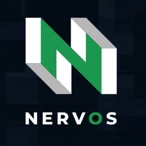 What is Nervos Network Coin?