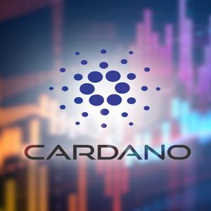Disappointment as Cardano (ADA) Holders Cut Losses Short, Meanwhile Big Gains for Pushd (PUSHD) and Sui (SUI) In Coming Months