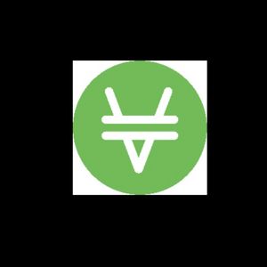 What is Vai Coin?