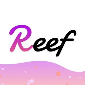 How to Buy Reef Coin?