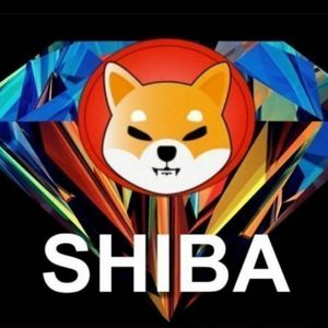 What is SHIBA INU Coin?