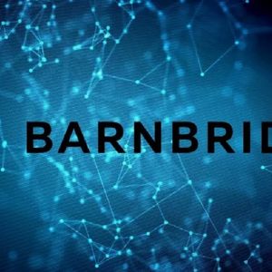 What is BarnBridge Coin?