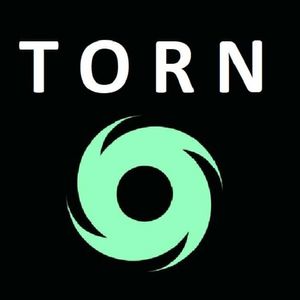 What is Tornado Cash Coin?