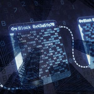 Web3 User Pays Hefty Fee for Token Purchase During Bull Run