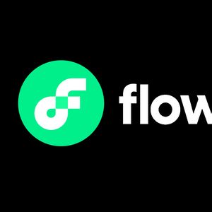 What is Flow Coin?