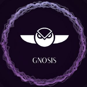 What is Gnosis Coin?