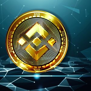 Binance Coin Faces Potential Downturn as Transaction Numbers Decline