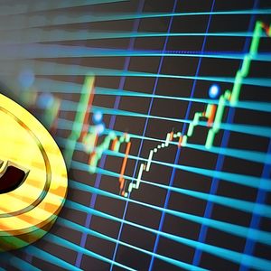 XRP and FLOKI Coin Price Analysis and Predictions